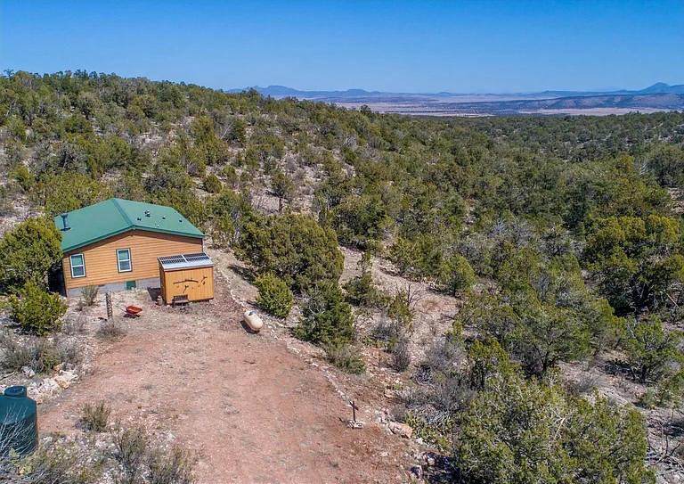 31900 Bad Dog Road - Photo 1