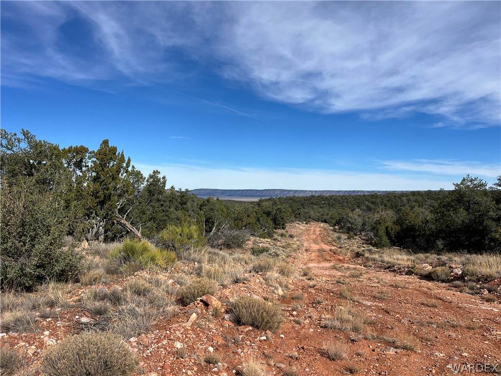 1022 Duffi's Bluffs Road - Photo 1