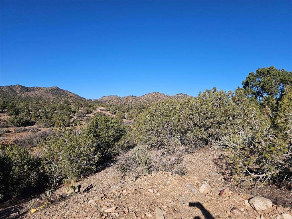 313-01-047 Austin Loop - Photo 1