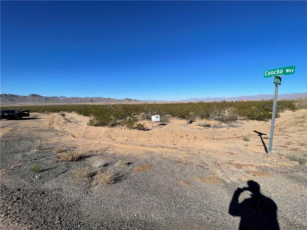 6939 Concho Place - Photo 1