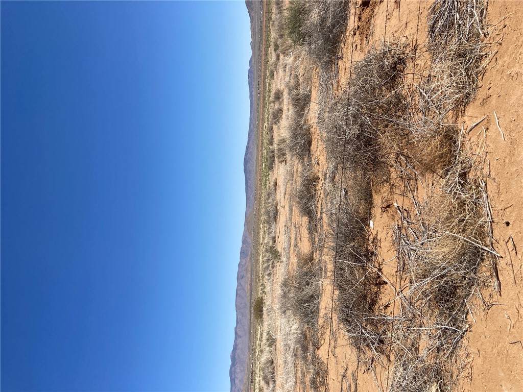 337-15-051 Cataract - Photo 1
