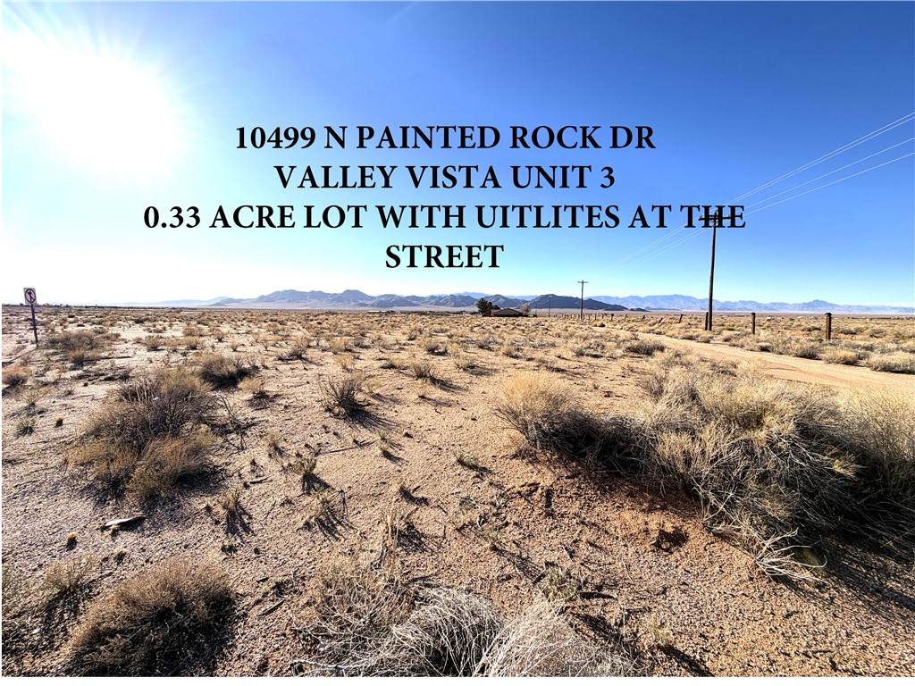10499 Painted Rock Drive - Photo 1
