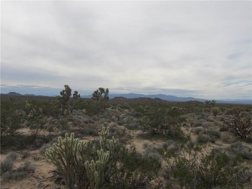245-06-003F Cal Road - Photo 1