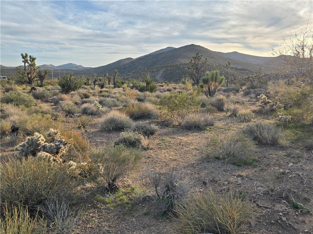 329-08-243 Inyo Drive - Photo 1