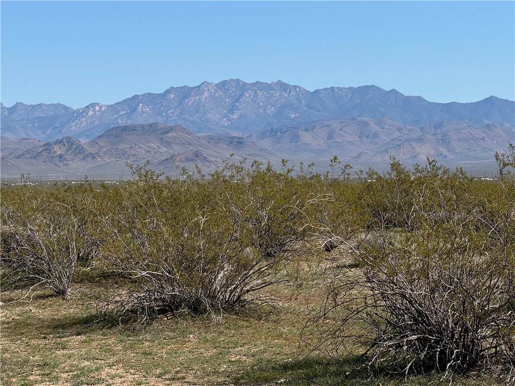 12131 Tombstone Trail - Photo 1