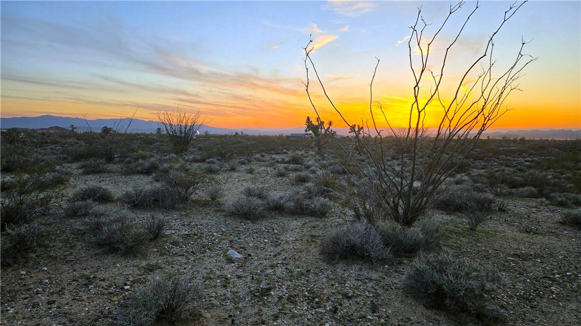 245-19-222A El Mirage Road - Photo 1