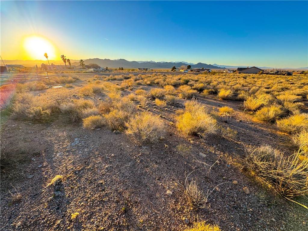 9344 Concho Drive - Photo 1
