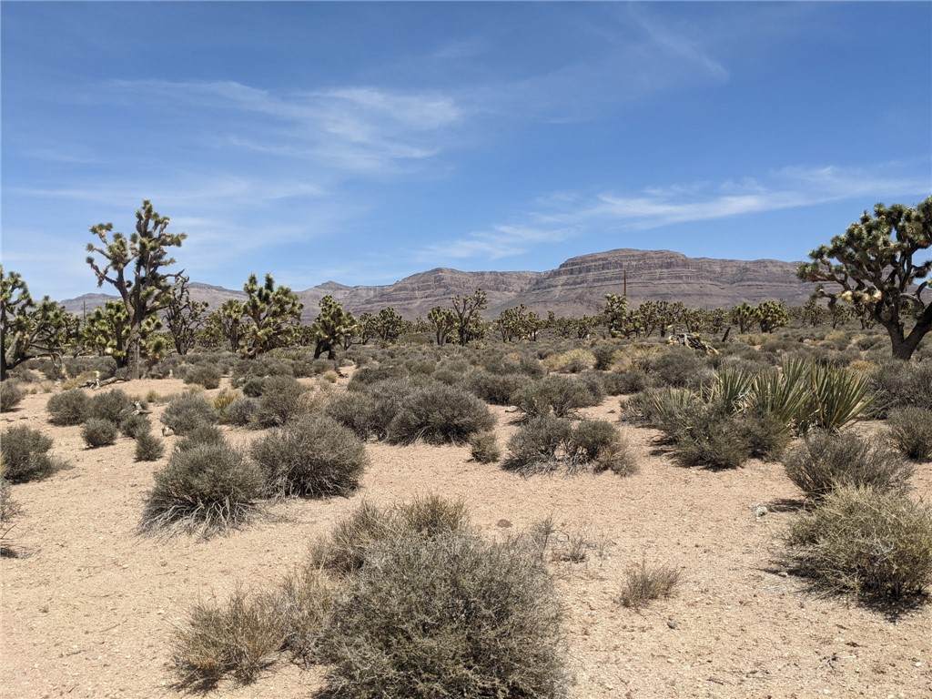 26681 Verde Road - Photo 1