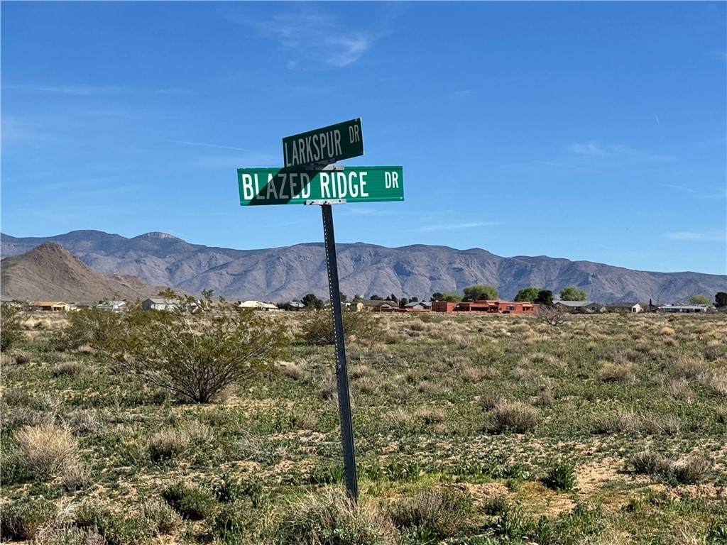 333-13-202 Blazed Ridge - Photo 1