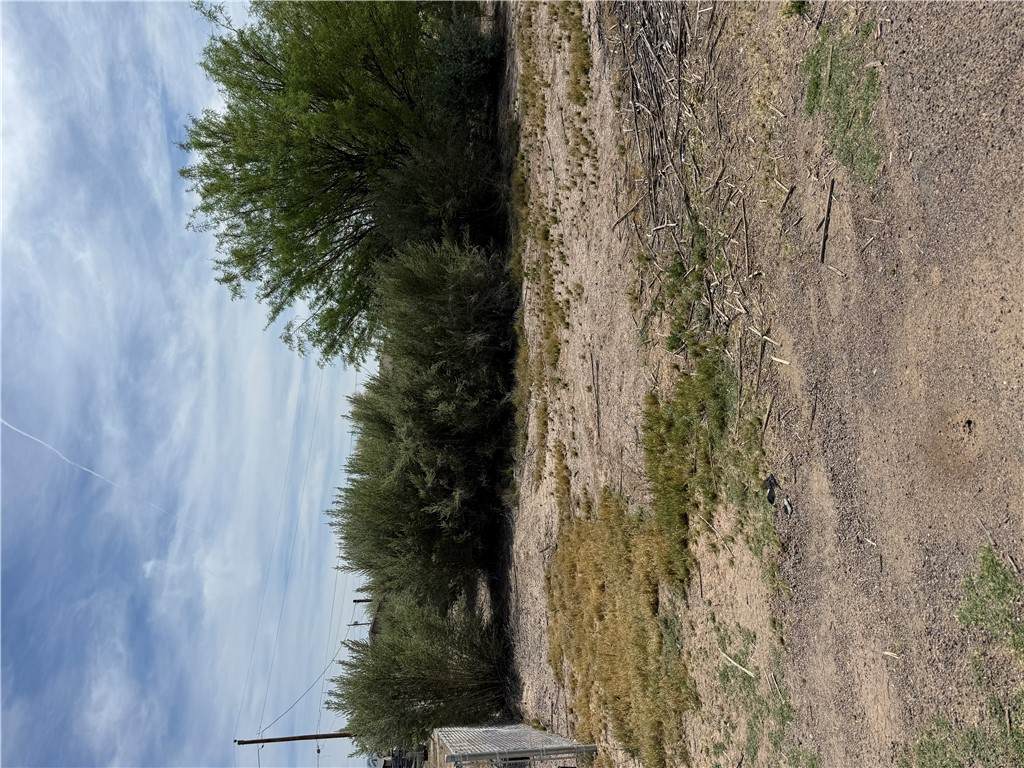 10574 Tropics Road - Photo 1