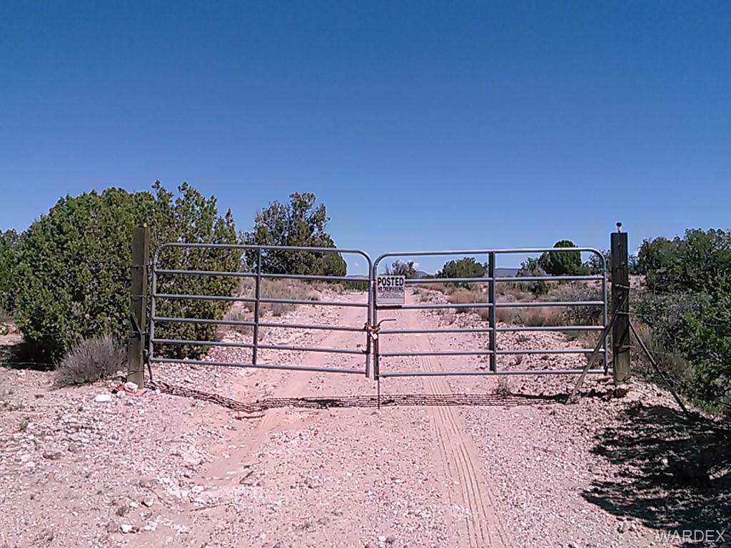 Lot 328 Randy Ranch Road - Photo 1 Lot 328 Randy Ranch Road - Photo 1
