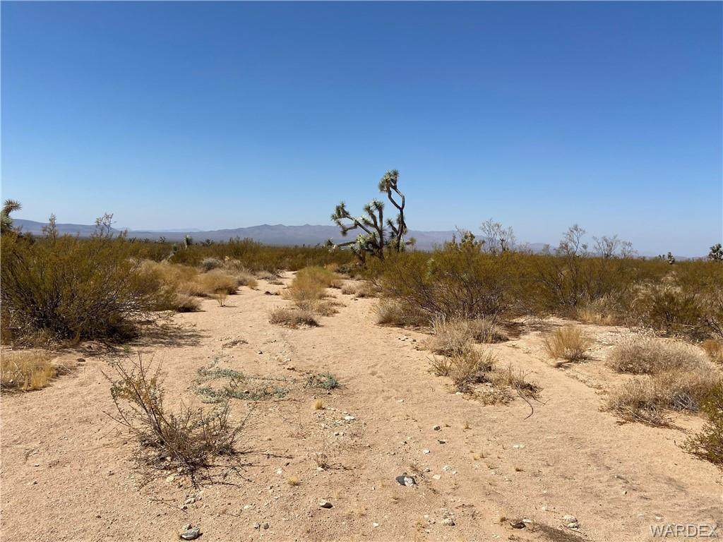 0 Cholla Drive - Photo 1