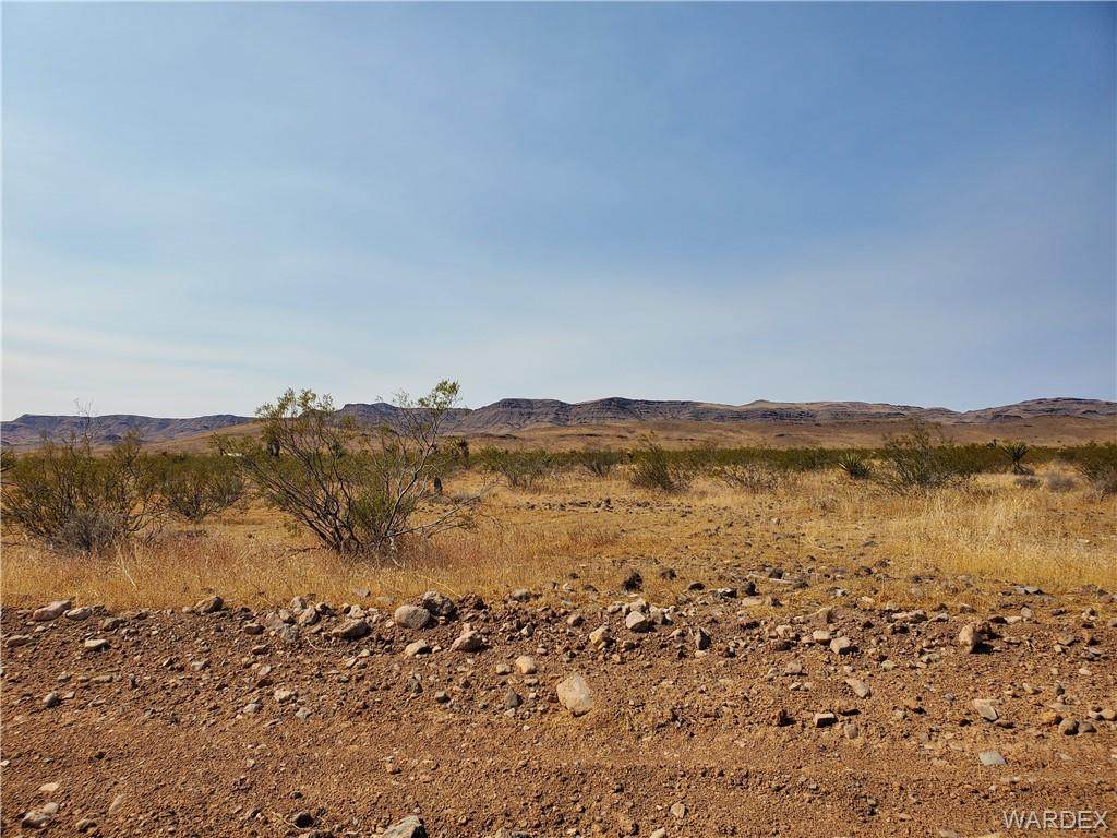 Tbd Dilkon Road - Photo 1