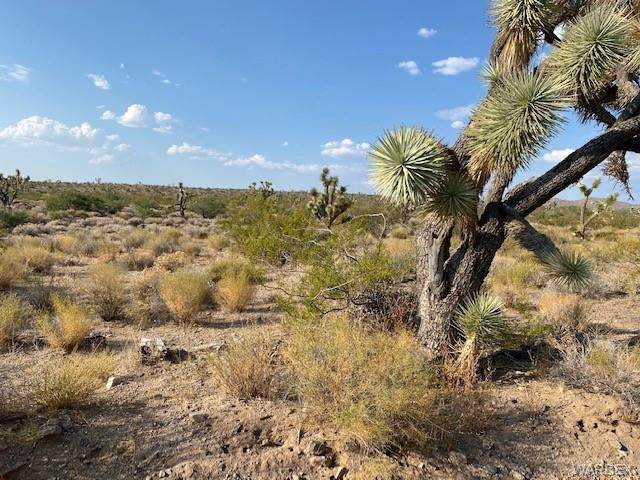 8909 White Hills Road - Photo 1