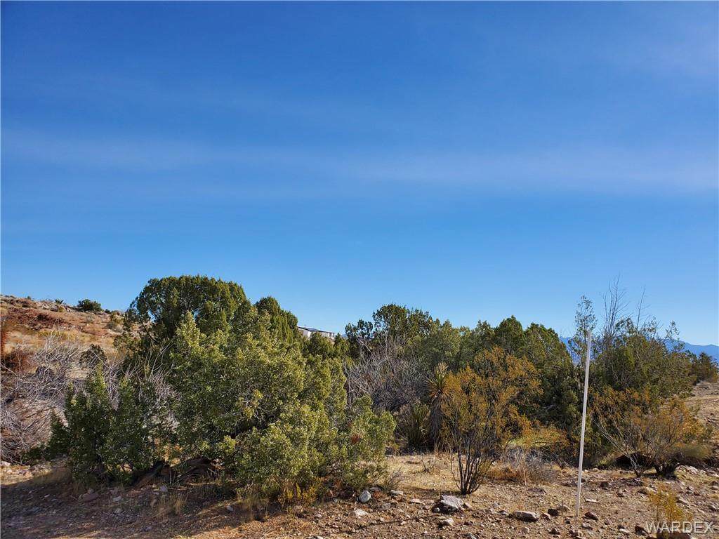 3351 Boriana Road - Photo 1