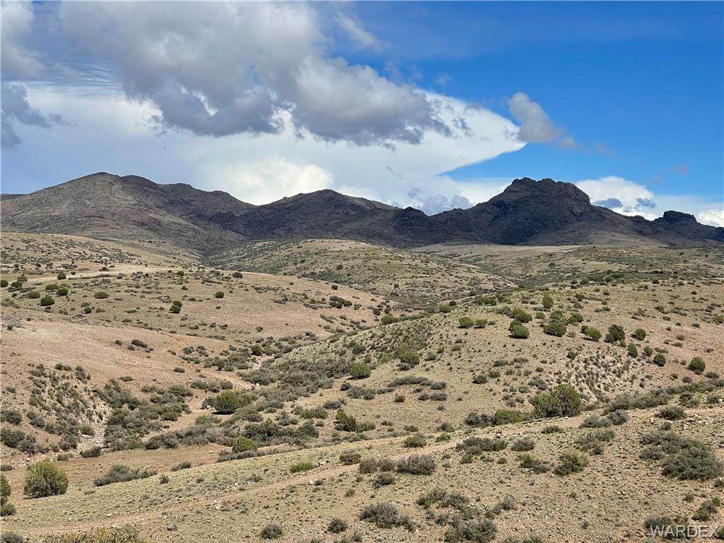 Lot 221 Wagon Bow Ranch - Photo 1