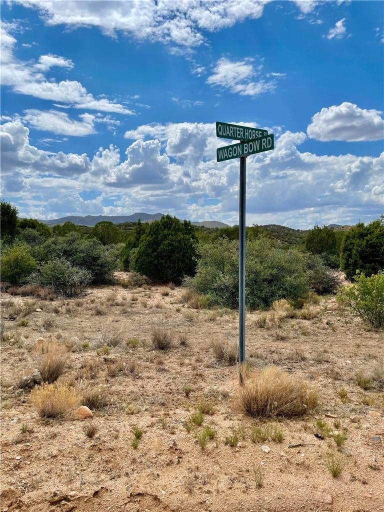 252-26-007 Quarter Horse Road - Photo 1