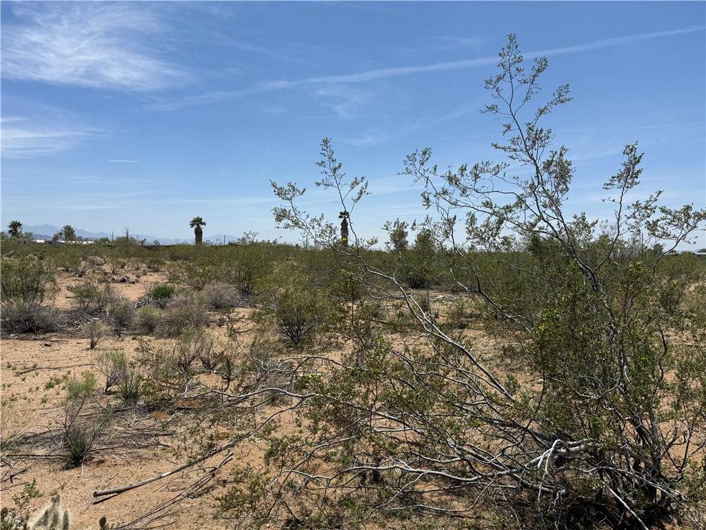 339-15-008 Horse Mesa Road - Photo 1