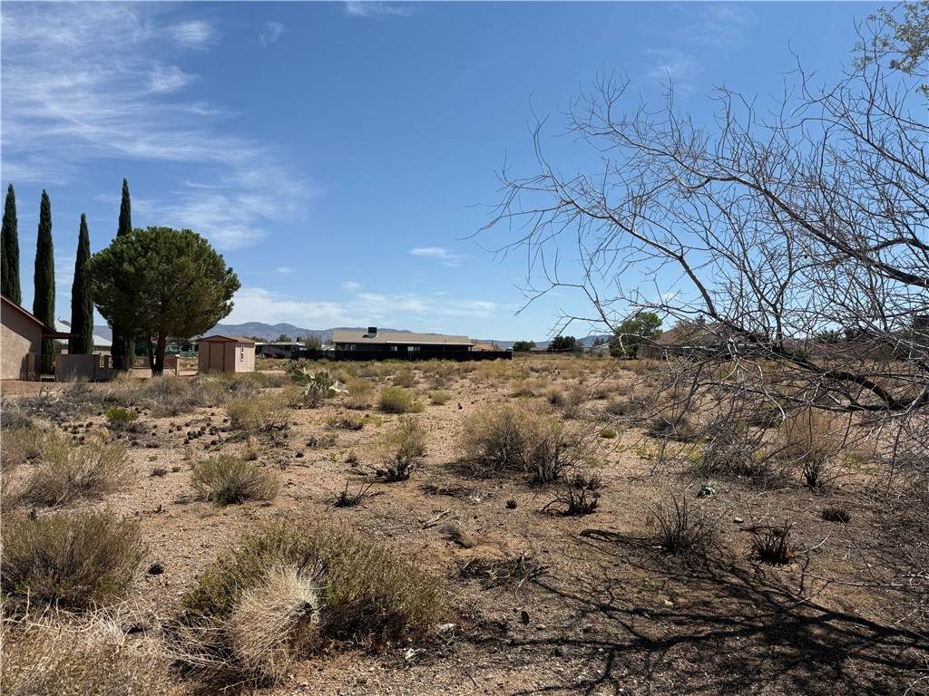 7613 Chuckawalla Drive - Photo 1