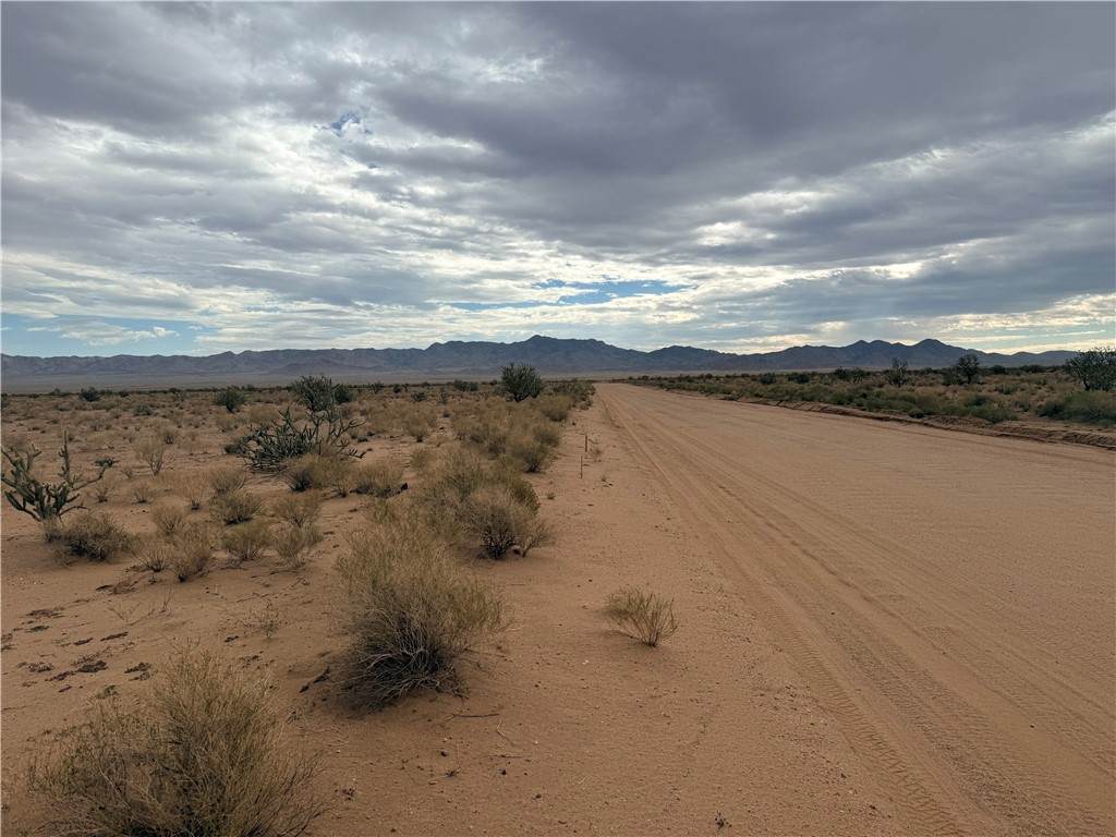 313-08-332 Pate Road - Photo 1