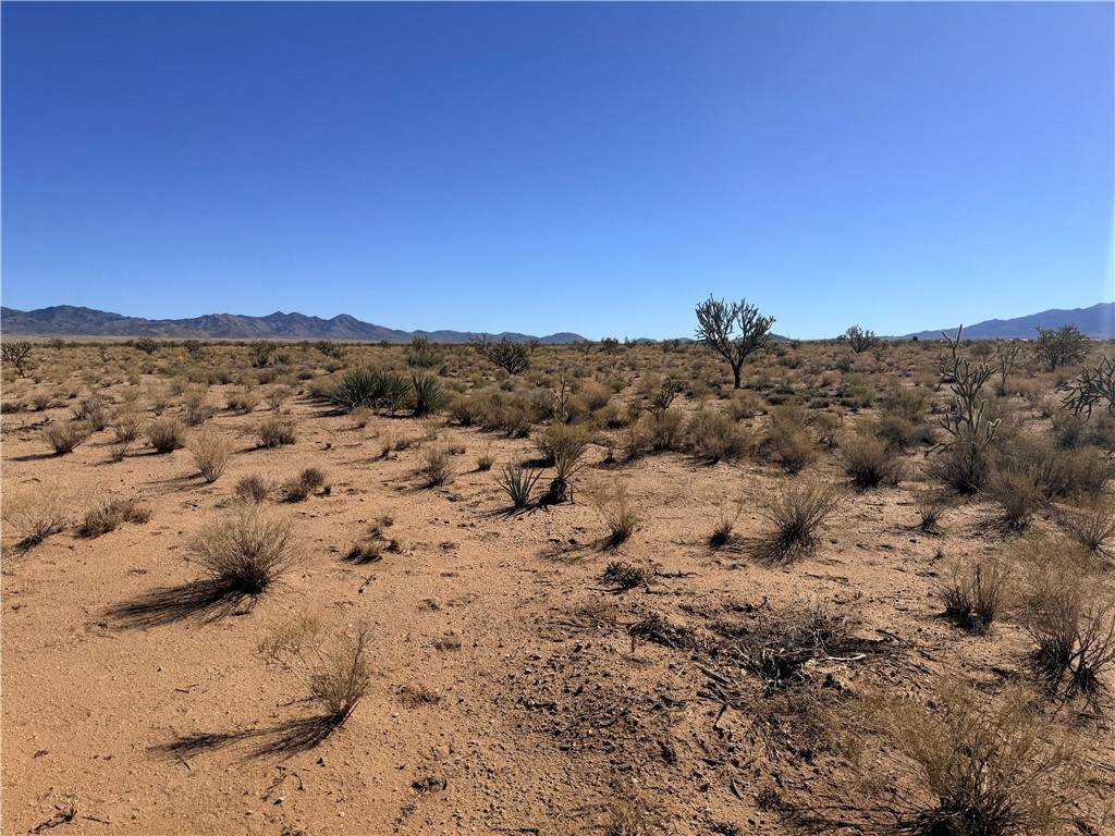 313-08-297 Stearns Road - Photo 1