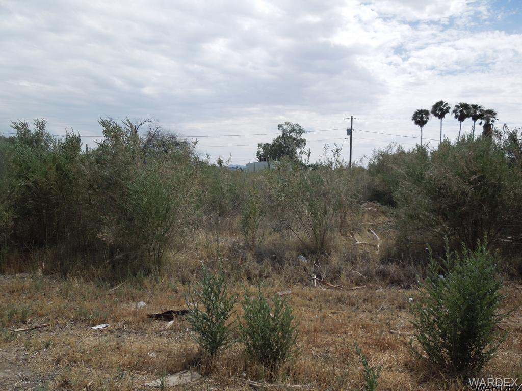 10398 Plantation Drive - Photo 1