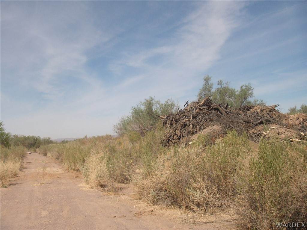 2798 Silver Mesa Drive - Photo 1