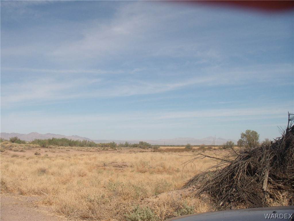 2857 Desert Flora - Photo 1