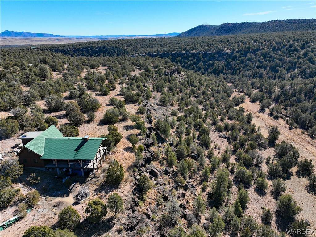 29775 Ridge Runner Road - Photo 1