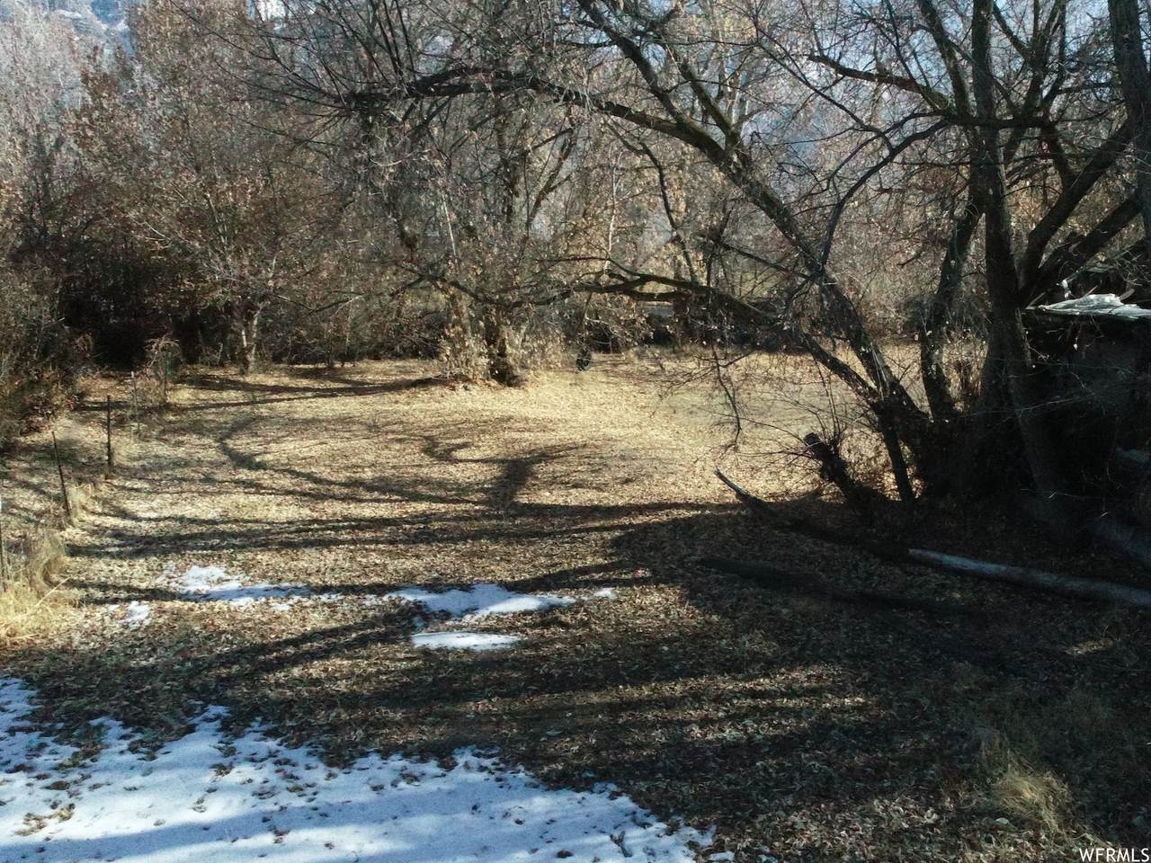 1250 Riverside Ave - Photo 1