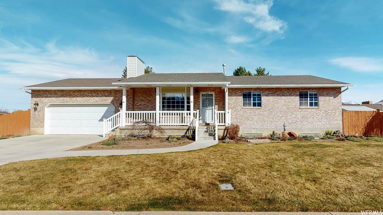 1761 640 - Photo 1