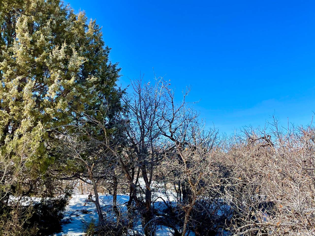 1789 Beaver Bench Rd - Photo 1
