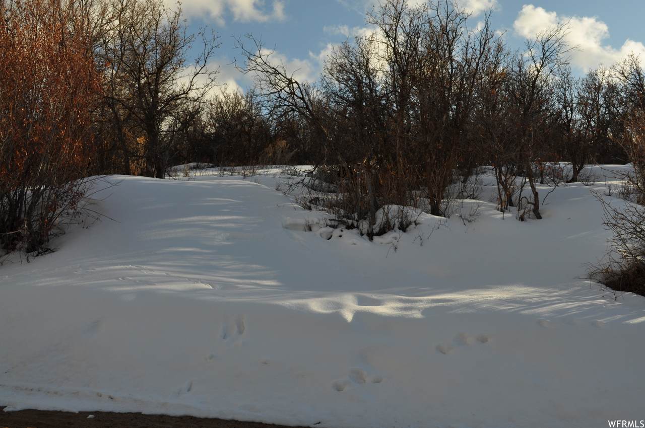 9742 Ridge Pine Rd - Photo 1