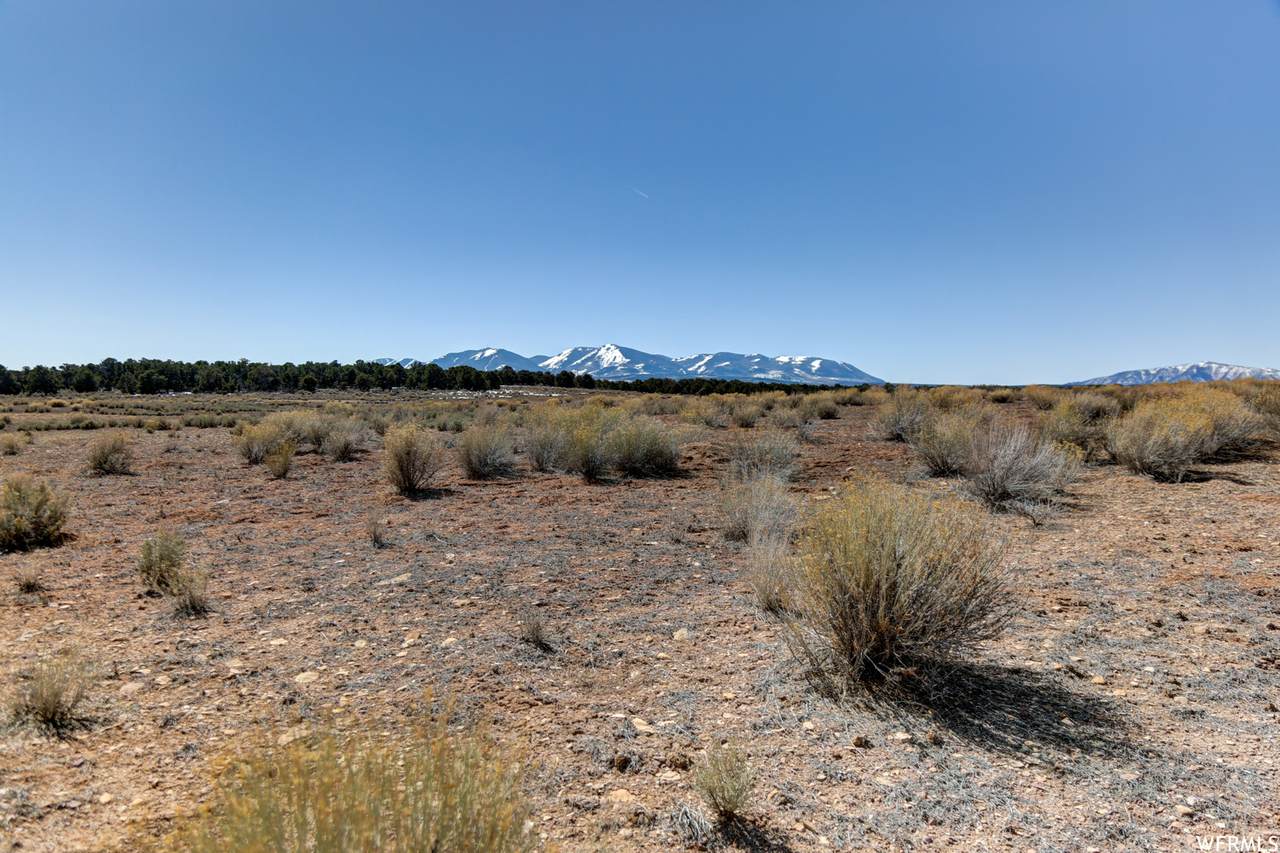 1280 Elk Ridge Dr - Photo 1