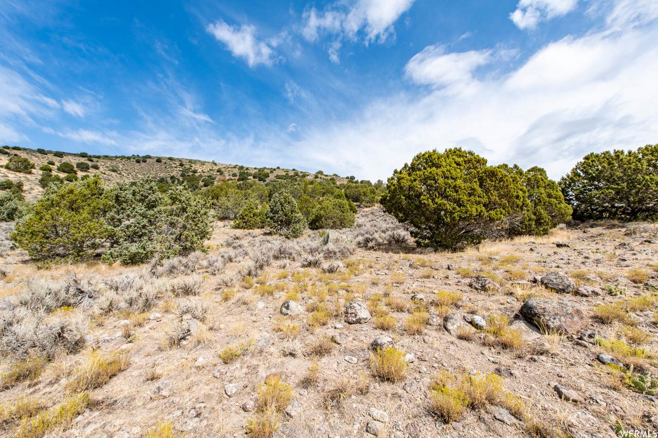2379 La Sal Peak Dr (506) - Photo 1