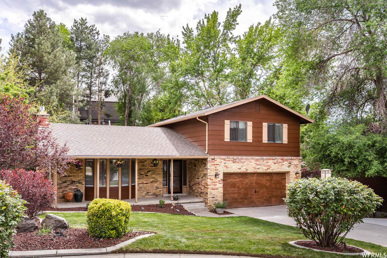 2668 Toni Cir - Photo 1