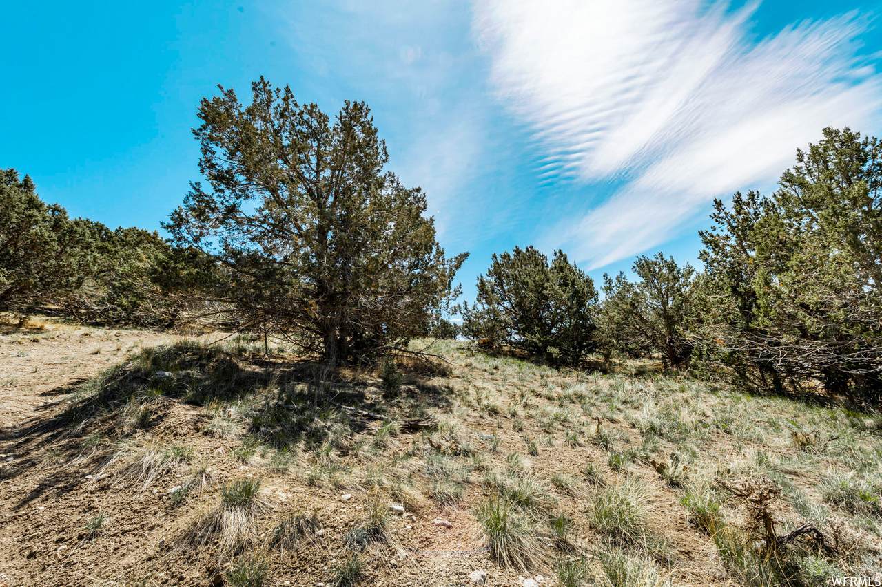 2303 Flat Top Mountain Dr (Lot 81) - Photo 1