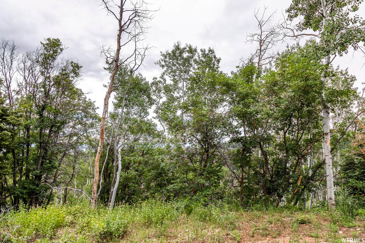2020 River Birch Rd - Photo 1
