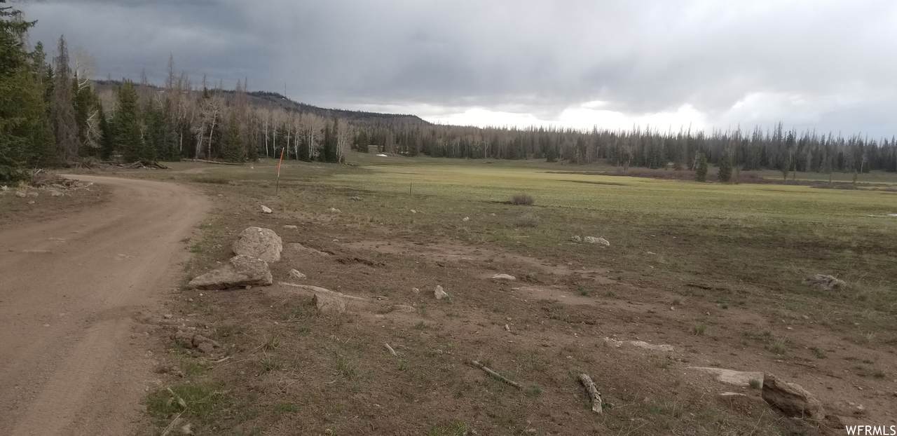1 Monroe Mtn - Photo 1