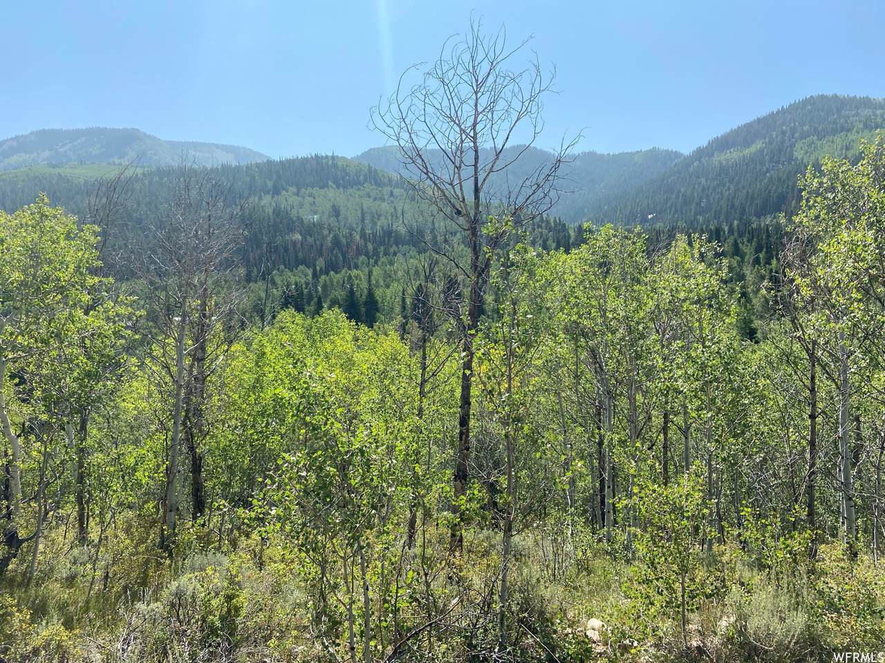 229 Kaibab Cir - Photo 1