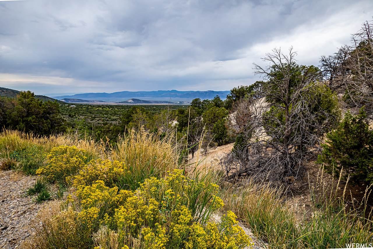9 Horseshoe Mountain - Photo 1