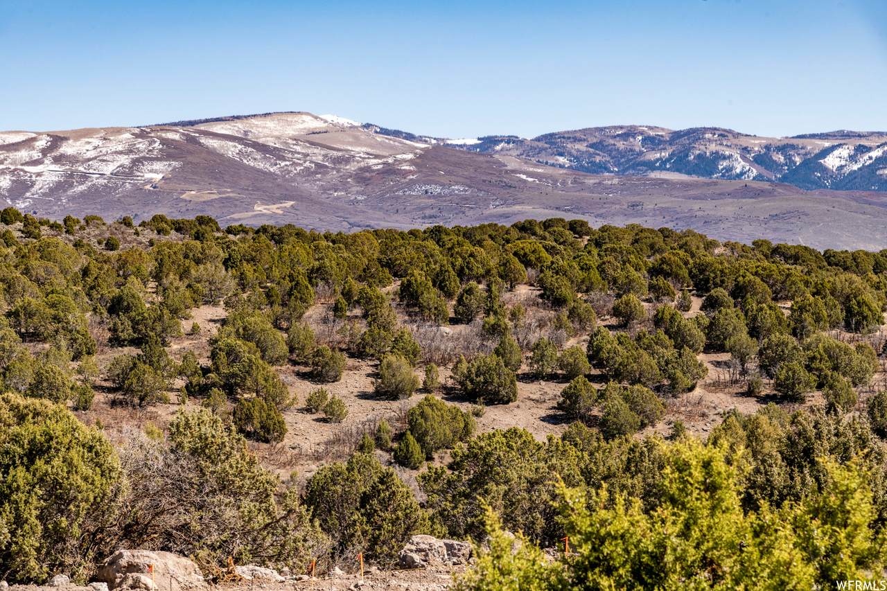 2772 Boulder Top Loop (Lot 592) - Photo 1