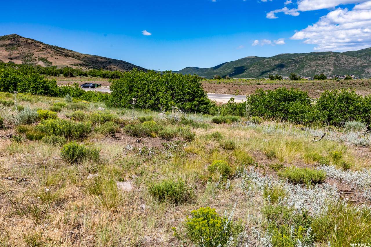 11274 Centaur Pl - Photo 1