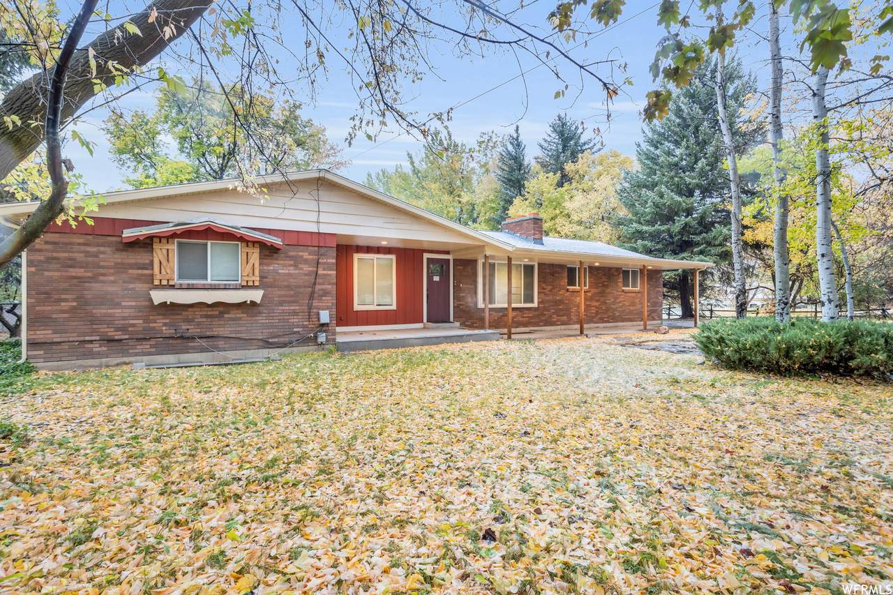 121 Paradise Ln - Photo 1