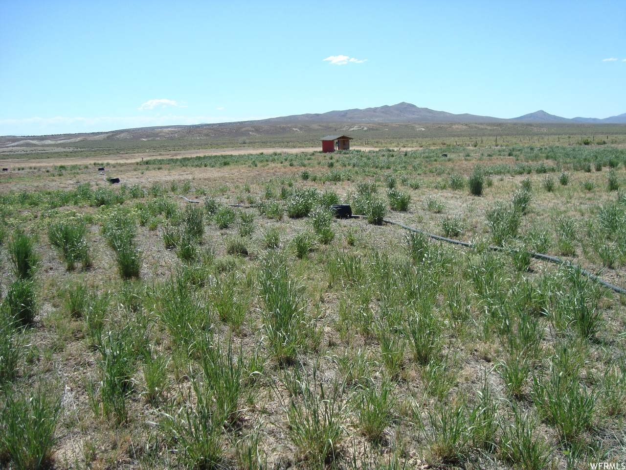 4368 Highway 36 - Photo 1