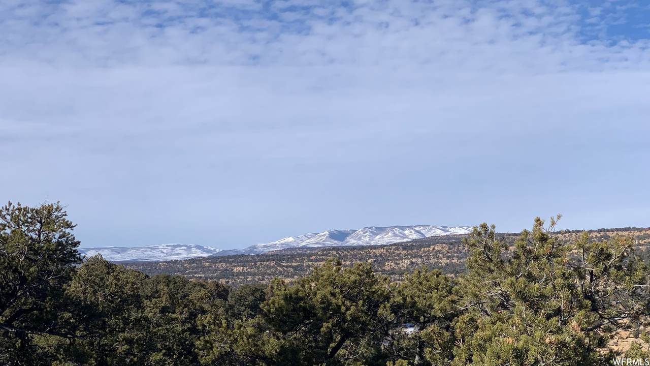 31 Cedar - Photo 1