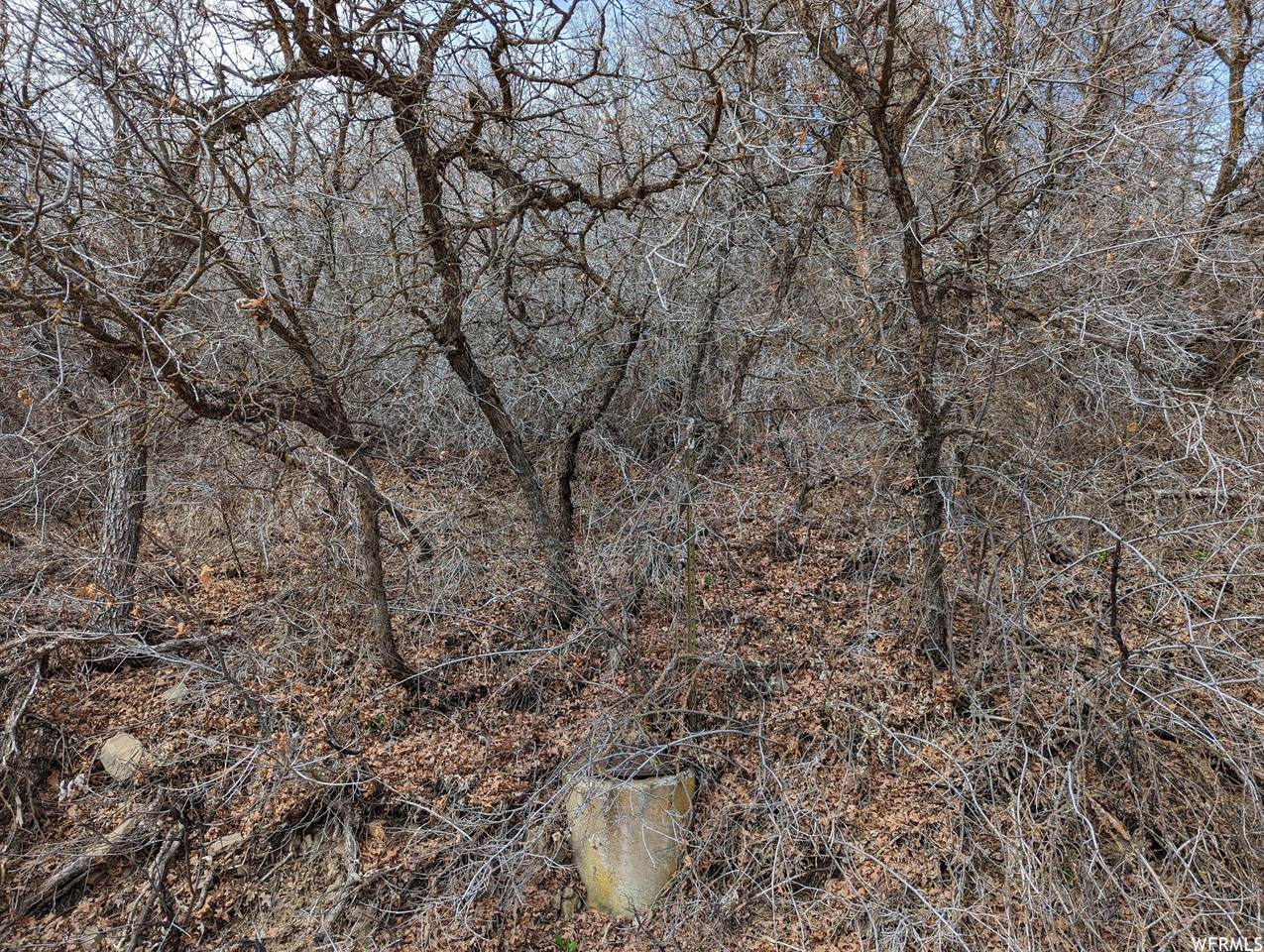 460 5100 - Photo 1