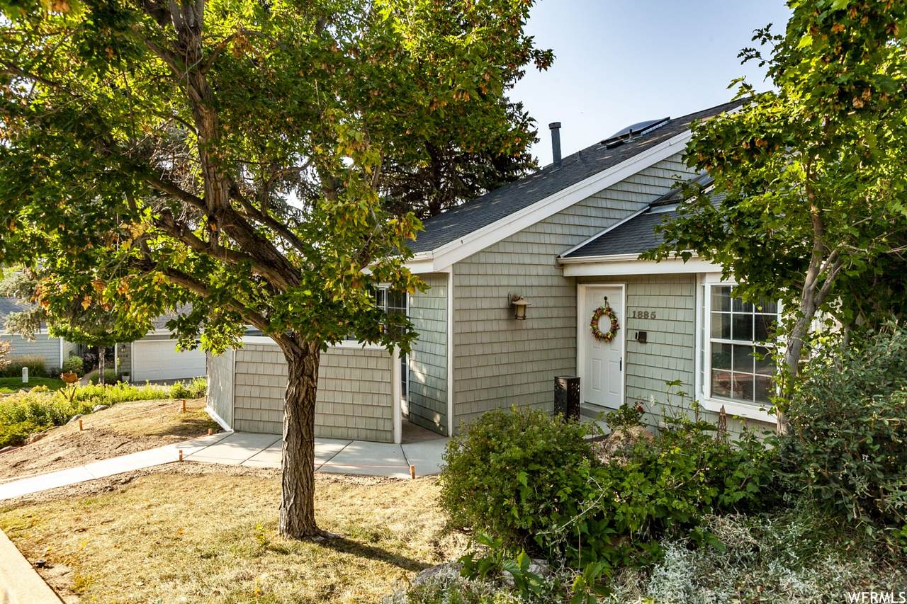 1885 High Pointe Dr - Photo 1