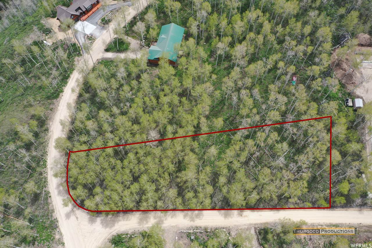 3612 Blazing Star Way - Photo 1