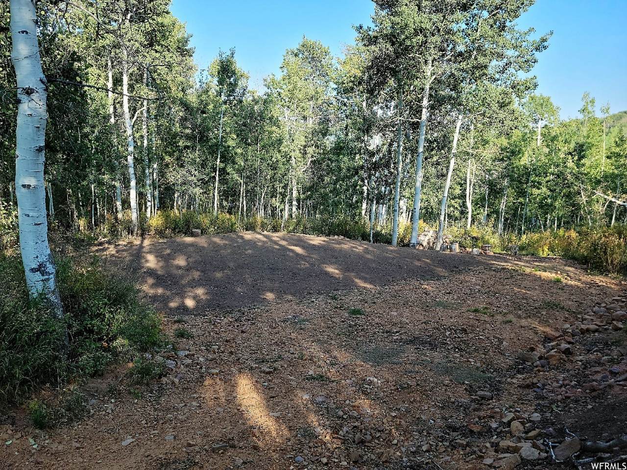 11363 Magpie Point Dr - Photo 1